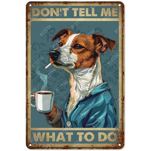 10 Reasons Why Jack Russells are the Best Dogs