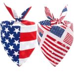 4Th of July Dog Accessories