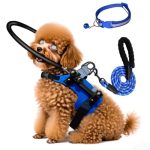 Accessories for Blind Dogs