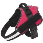 Anodic Products Dog Harness Reviews