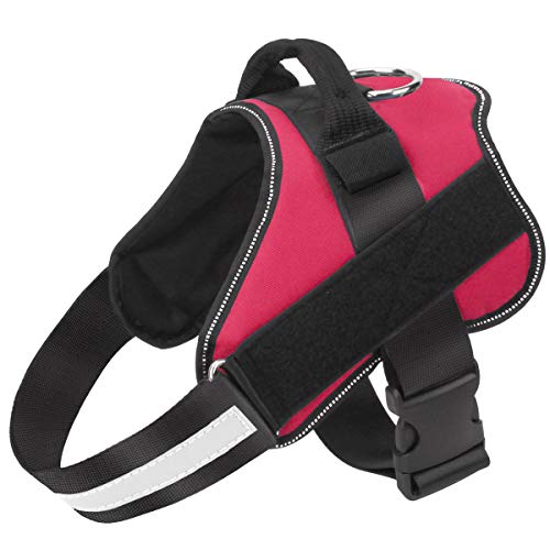 Anodic Products Dog Harness Reviews