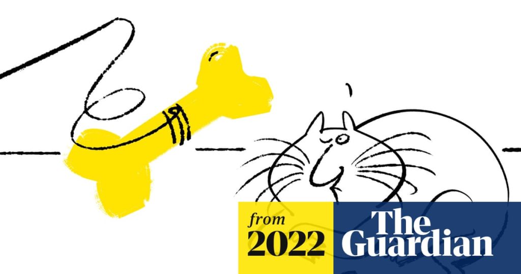 Are Cats Easier to Train Than Dogs
