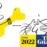 Are Cats Easier to Train Than Dogs