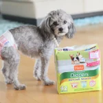 Are Dog Diapers Good for Potty Training