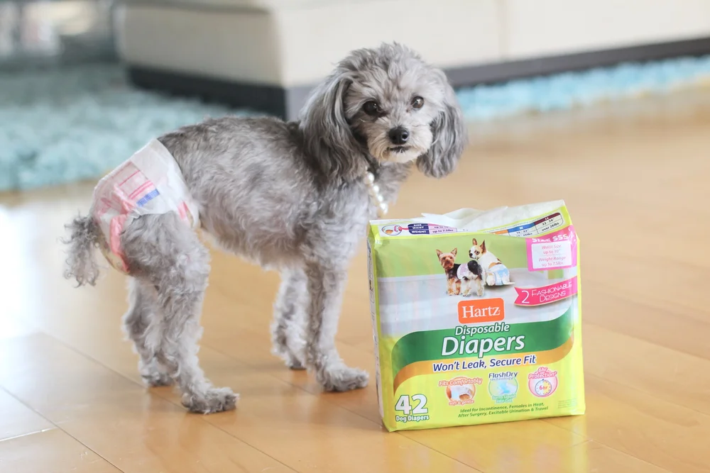 Are Dog Diapers Good for Potty Training
