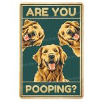 Are Golden Retrievers the Best Dogs