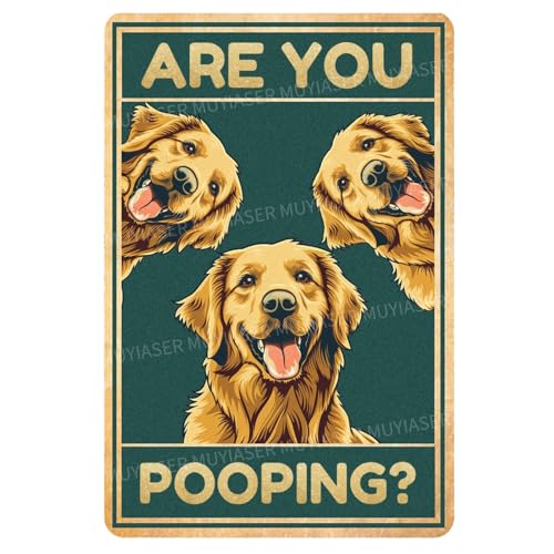 Are Golden Retrievers the Best Dogs