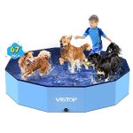 Best above Ground Pool for Dogs