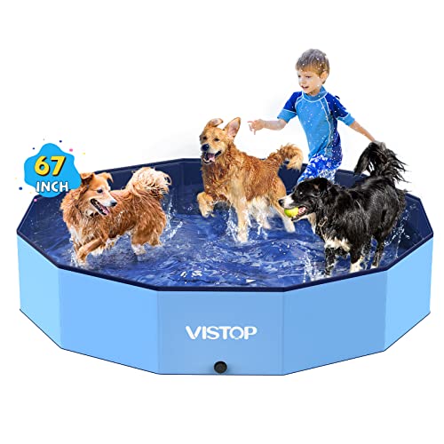 Best above Ground Pool for Dogs