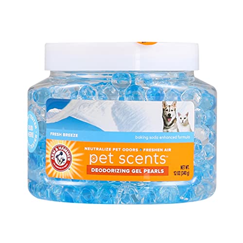 Best Air Freshener for Dog Odor