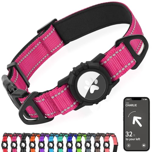 Best Air Tag Dog Collar