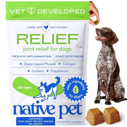 Best Anti Inflammatory Dog Food