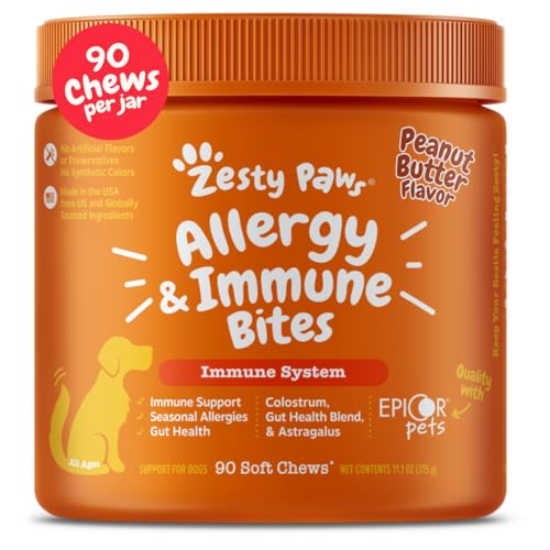 Best Anti Itch Chews for Dogs