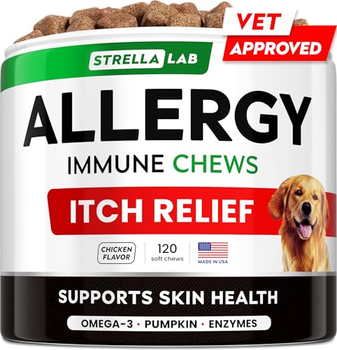 Best Anti Itch for Dogs With Allergies