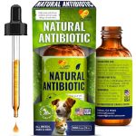 Best Antibiotic for Dog With Respiratory Infection