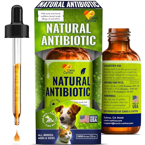 Best Antibiotic for Dog With Respiratory Infection