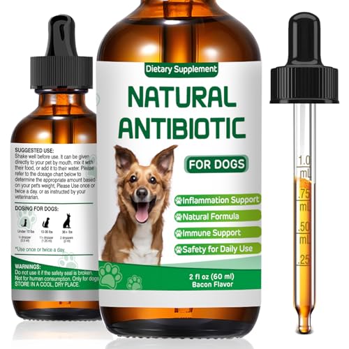 Best Antibiotic for Orchitis in Dogs