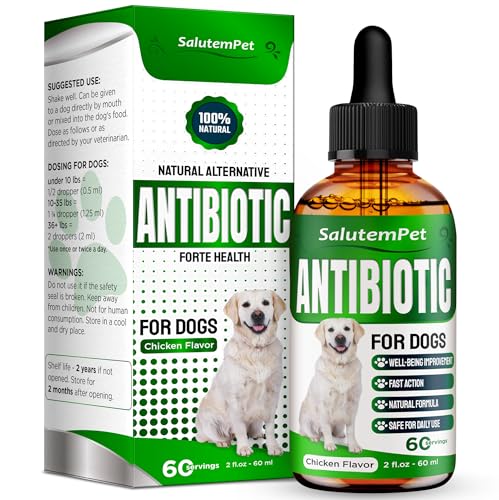 Best Antibiotic for Pneumonia in Dogs