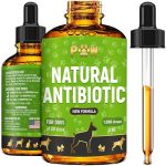 Best Antibiotic for Tooth Infection in Dogs
