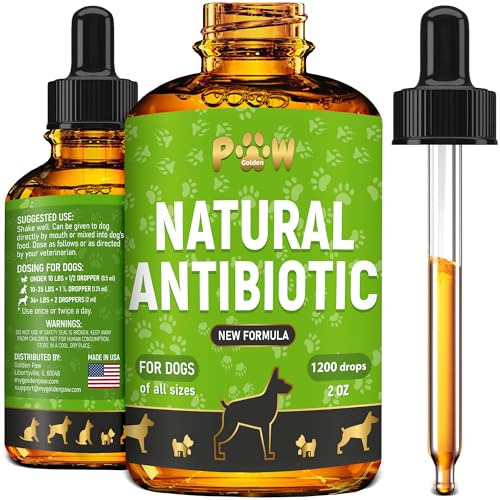 Best Antibiotic for Tooth Infection in Dogs