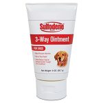 Best Antibiotic Ointment for Dogs