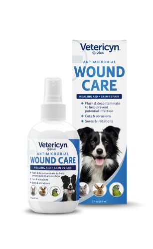 Best Antibiotic Spray for Dogs