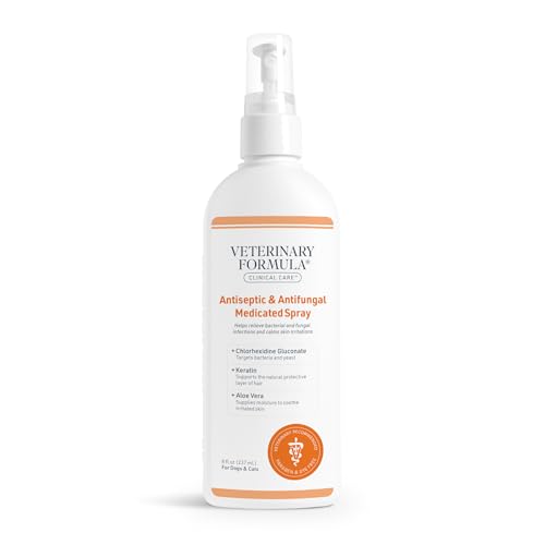 Best Antifungal for Dogs Paws