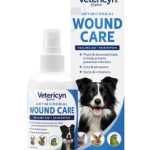 Best Antiseptic for Dog Wounds