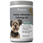 Best Anxiety Medication for Senior Dogs