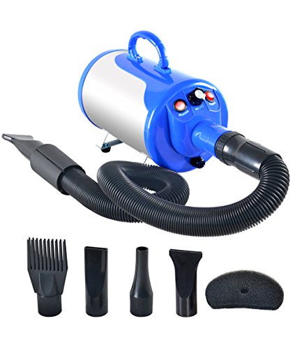 Best at Home Dog Blow Dryer