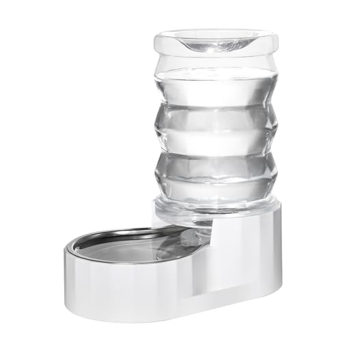 Best Auto Water Bowl for Dogs