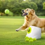 Best Automatic Ball Thrower for Dogs