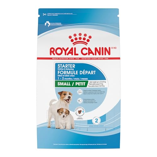 Best Baby Food for Dogs