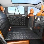 Best Back Seat Cover for Dogs