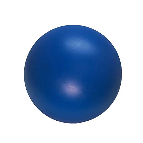 Best Ball for a Dog