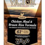 Best Bang for Your Buck Dog Food