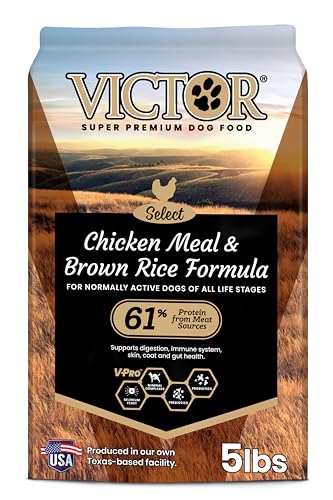 Best Bang for Your Buck Dog Food
