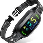 Best Bark Collars for Small Dogs
