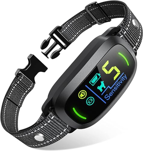 Best Bark Collars for Small Dogs