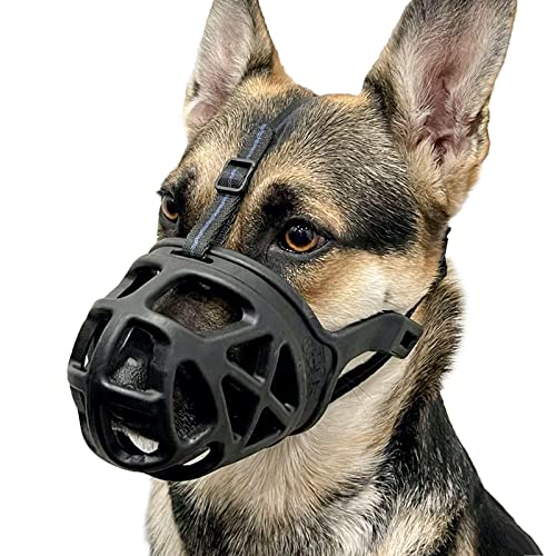 Best Basket Muzzle for Dogs