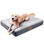 Best Bed for Dog After Surgery