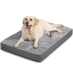 Best Bedding for Outdoor Dogs