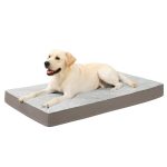 Best Bedding for Outside Dogs