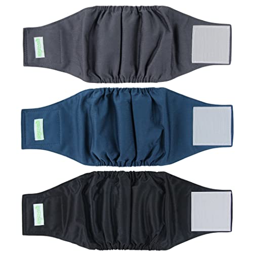 Best Belly Bands for Male Dogs
