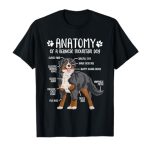 Best Bernese Mountain Dog Breeders