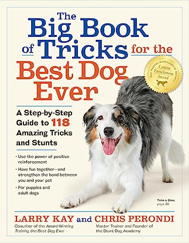 Best Big Breeds of Dogs