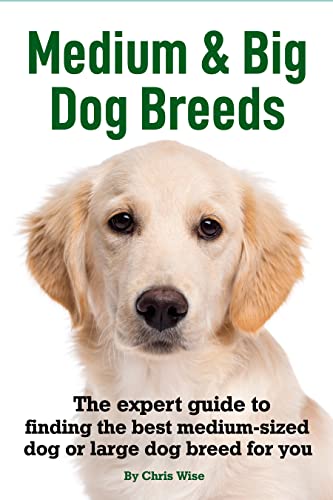 Best Big Dog Breeds for First Time Owners