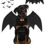 Best Big Dog Halloween Costumes