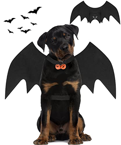 Best Big Dog Halloween Costumes