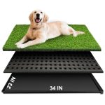 Best Big Dogs for Apartments